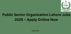 Public Sector Organization Lahore Jobs 2025